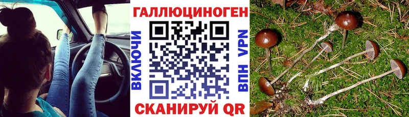 дарк нет наркотические препараты  Клин  Галлюциногенные грибы Psilocybe  где продают  