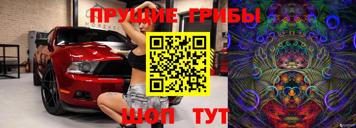 Псилоцибиновые грибы MAGIC MUSHROOMS  Клин 