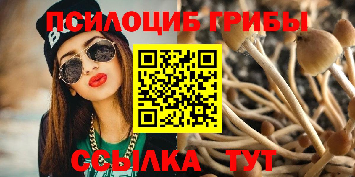 Псилоцибиновые грибы мухоморы Клин
